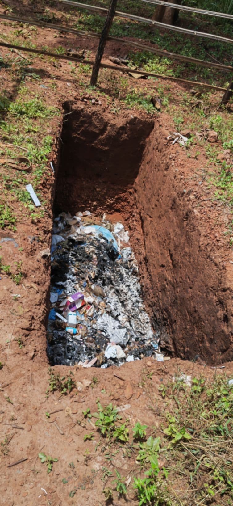 Central African Republic field gallery image 11