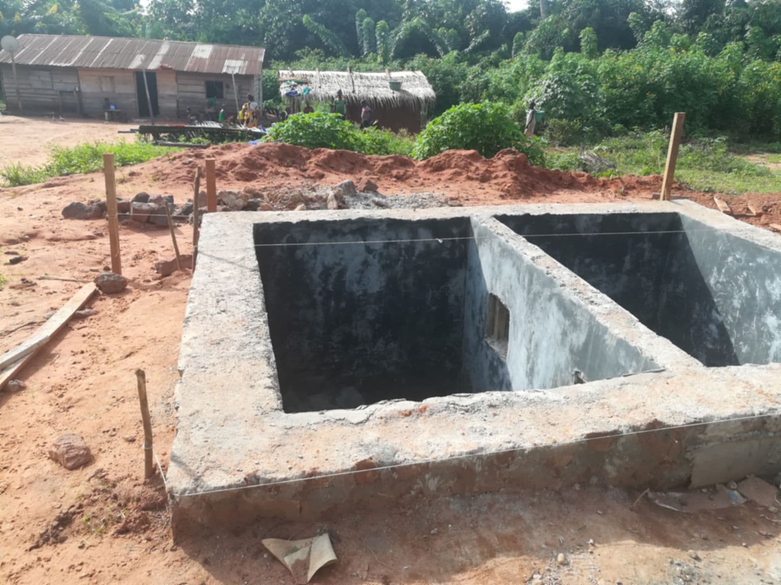 Central African Republic field gallery image 16