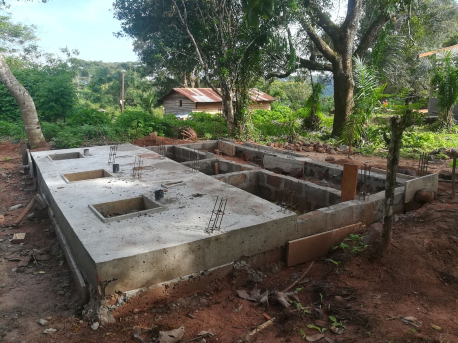 Central African Republic field gallery image 17