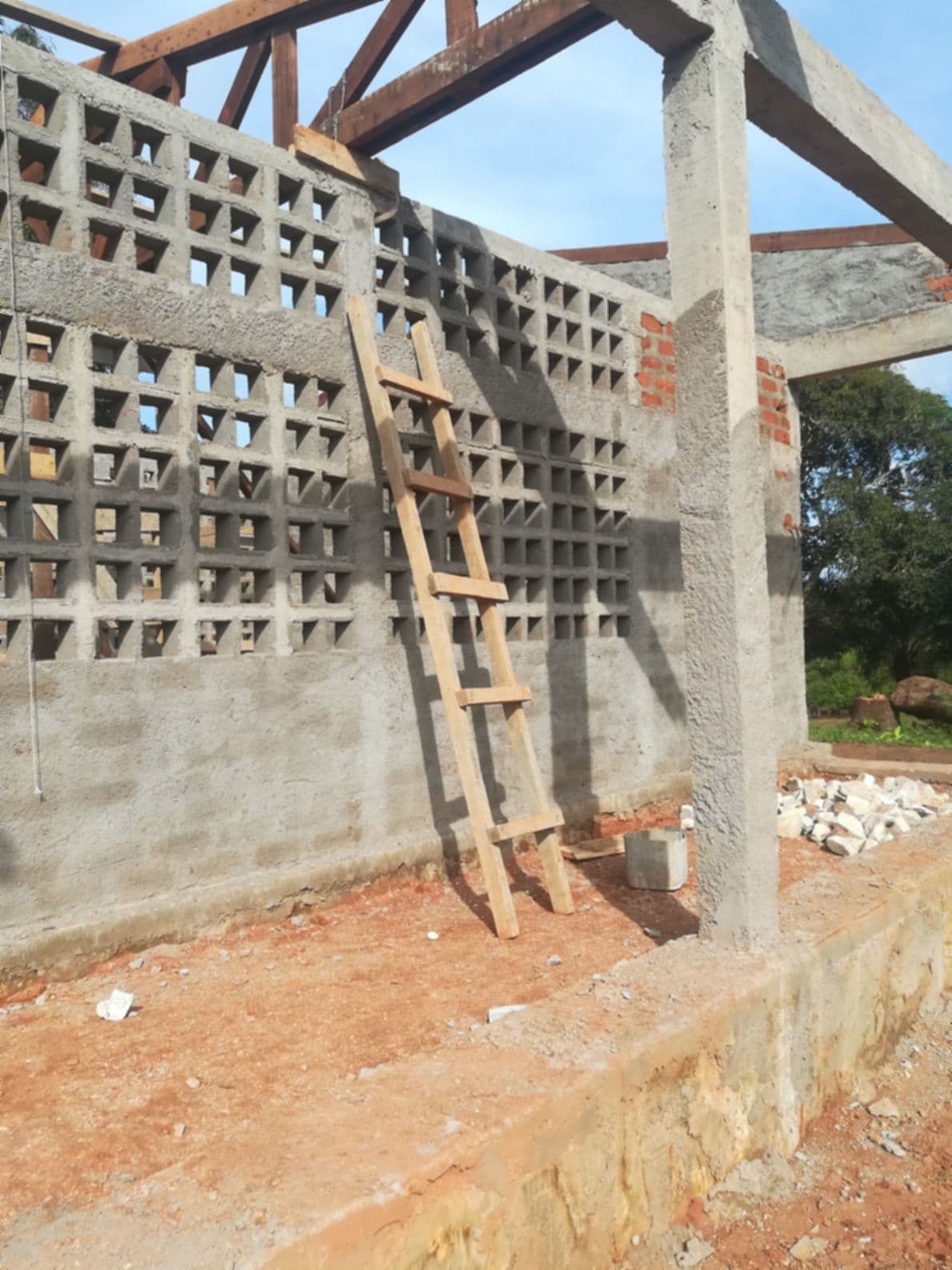 Central African Republic field gallery image 18