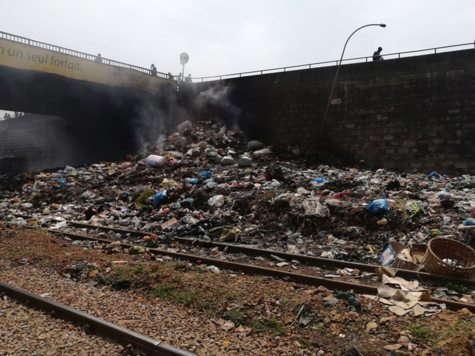 Guinea field gallery image 4