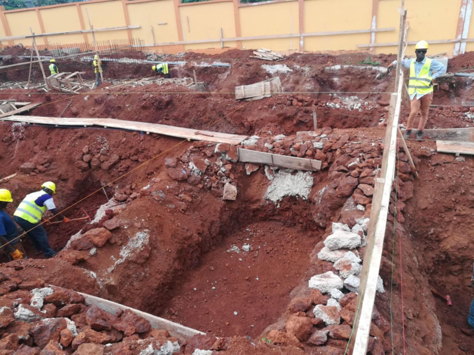 Guinea field gallery image 6