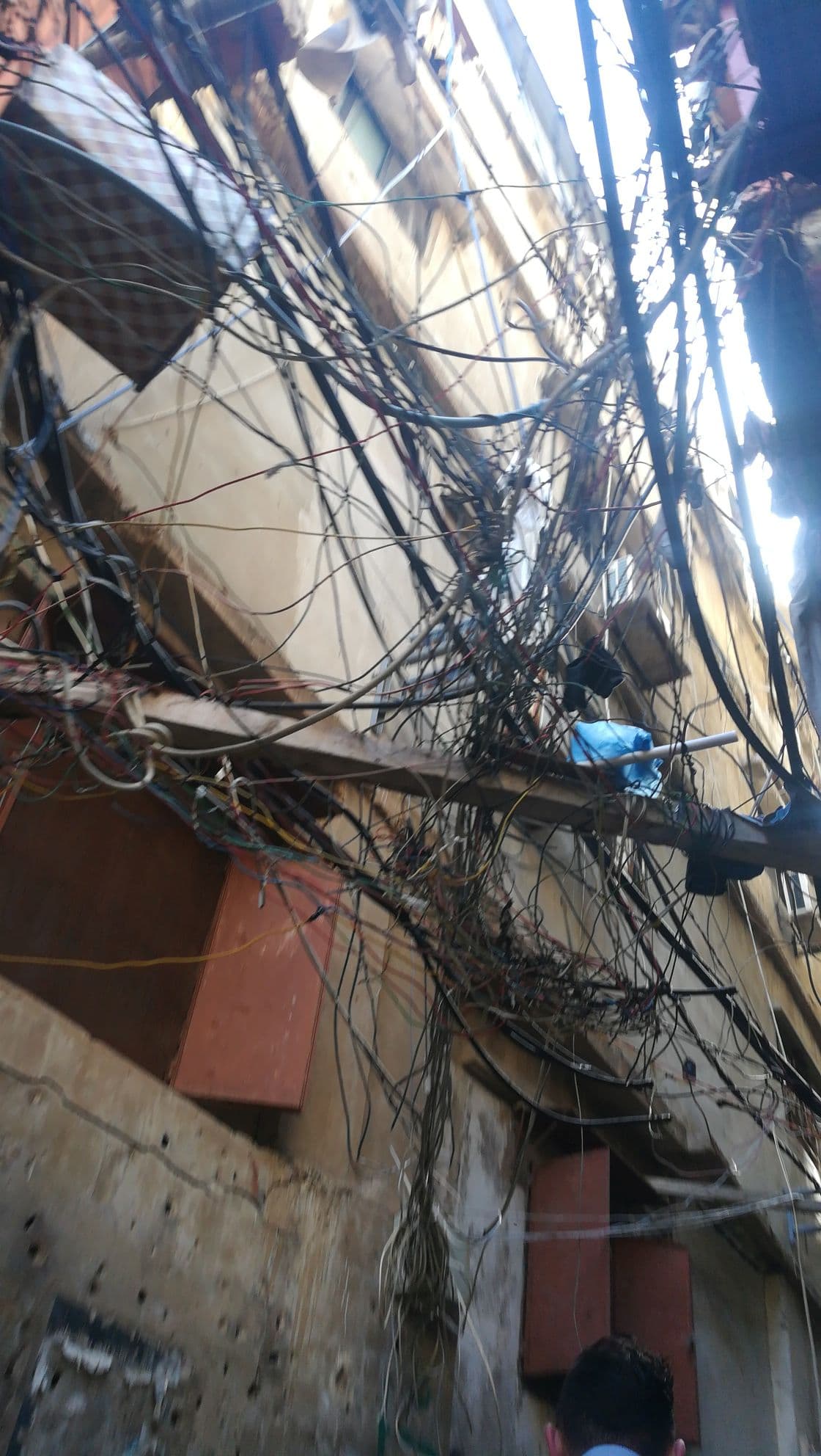 Lebanon field gallery image 1