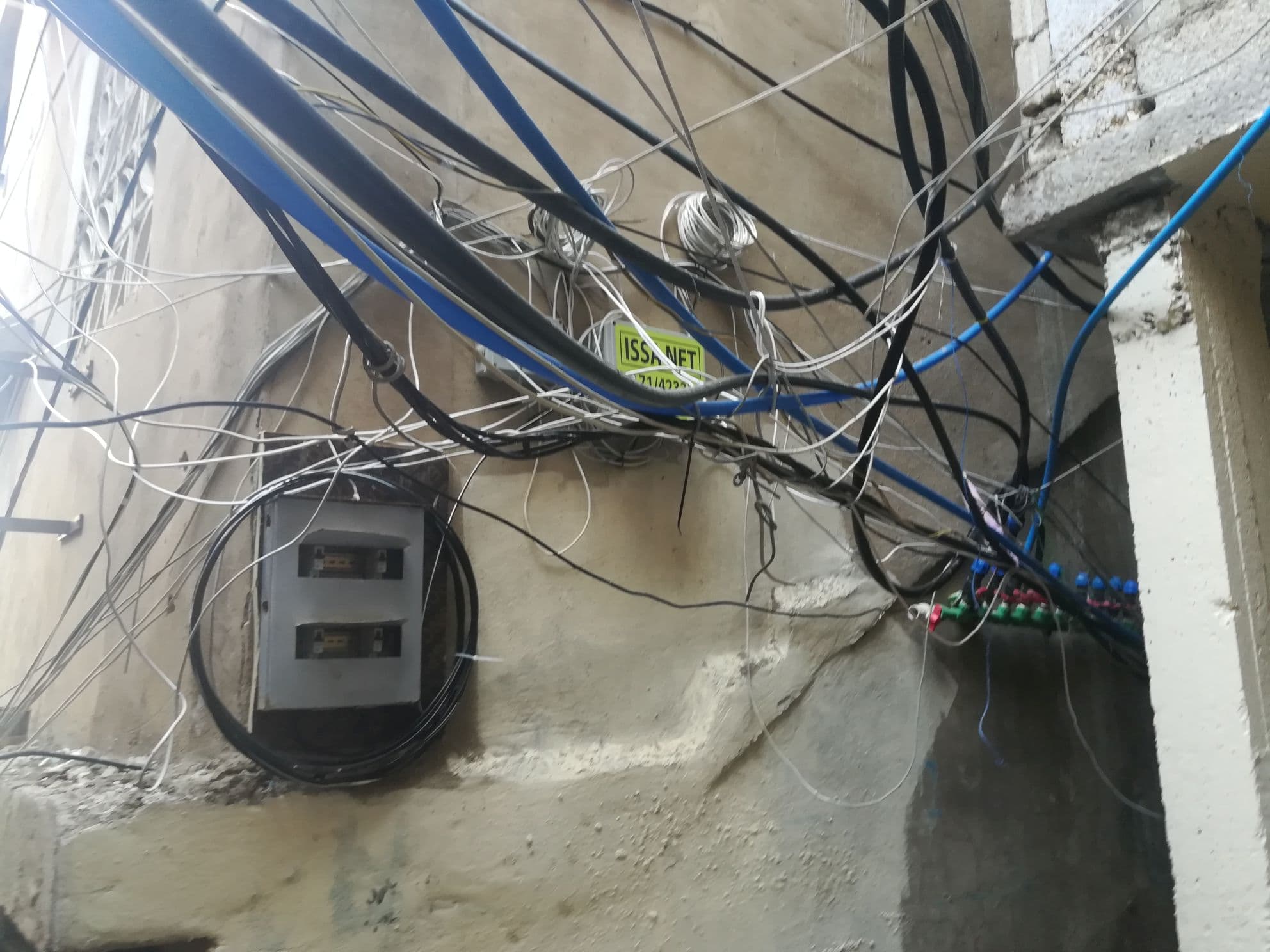 Lebanon field gallery image 2