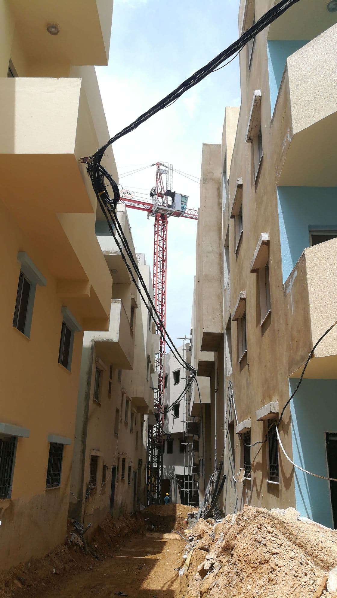 Lebanon field gallery image 4