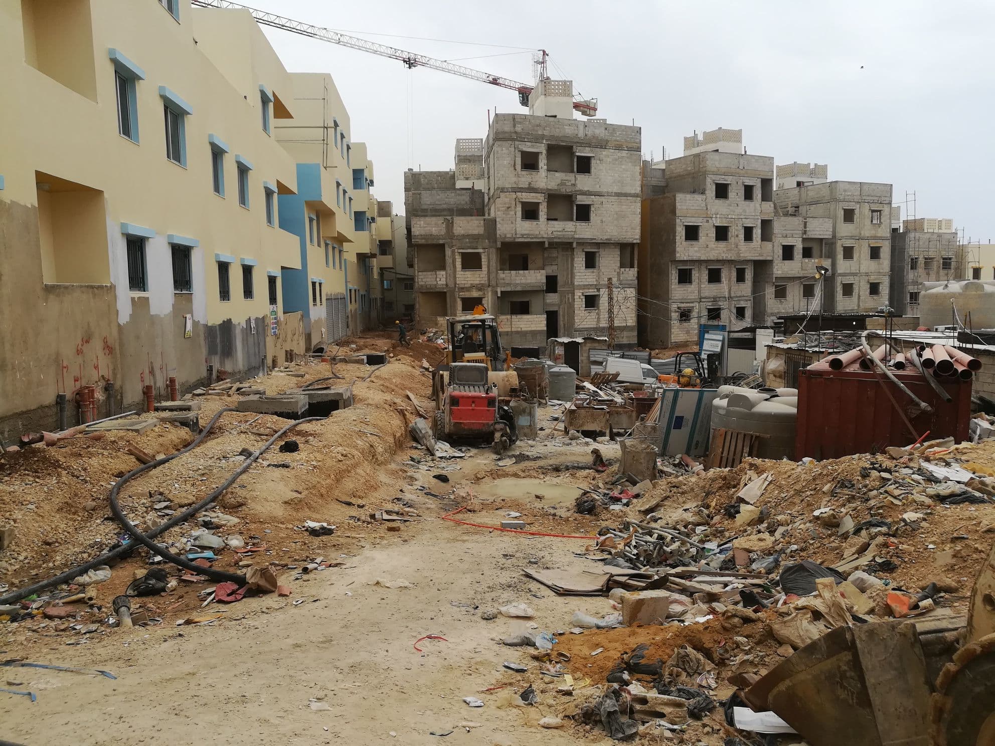 Lebanon field gallery image 6