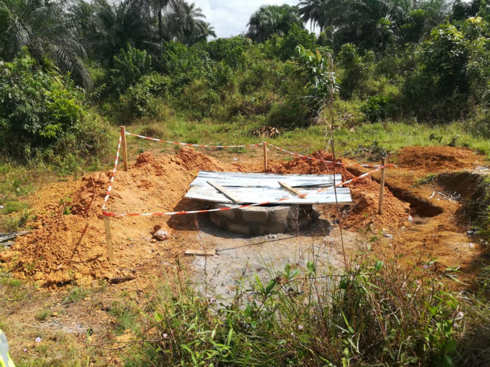 Liberia field gallery image 3