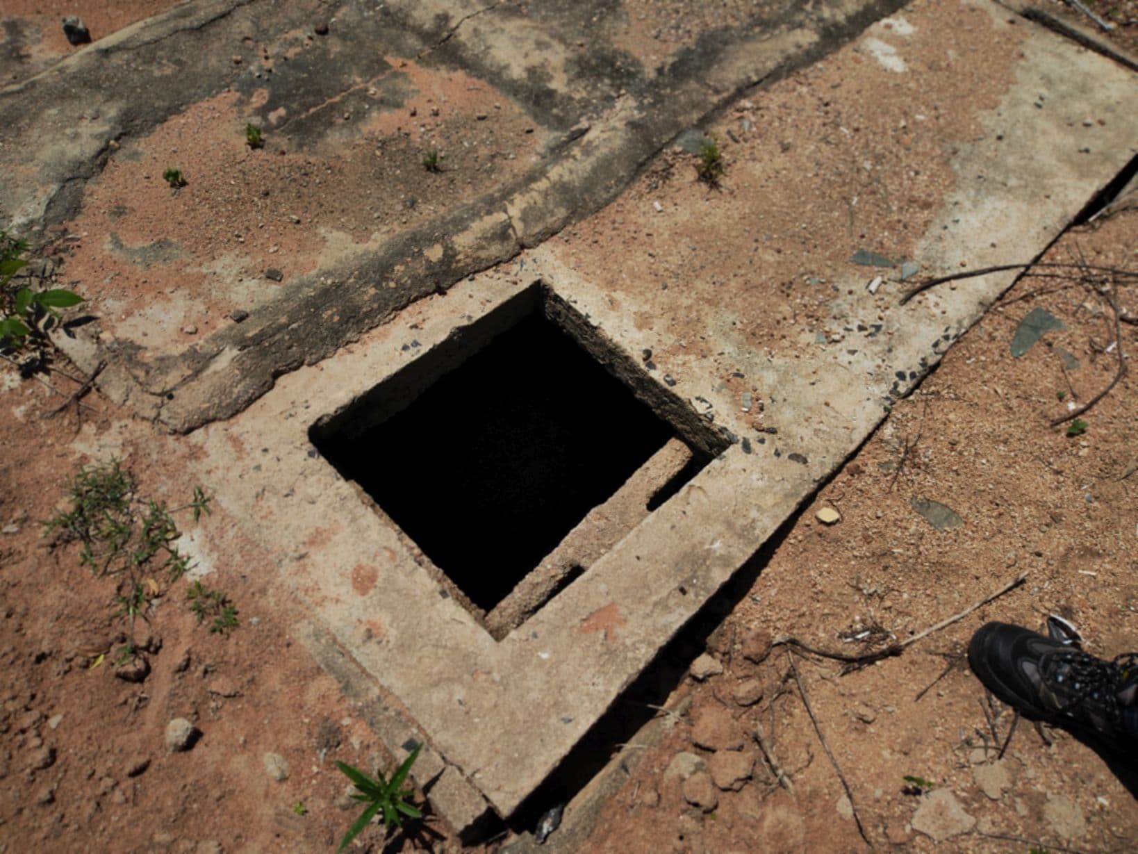 Nigeria field gallery image 4