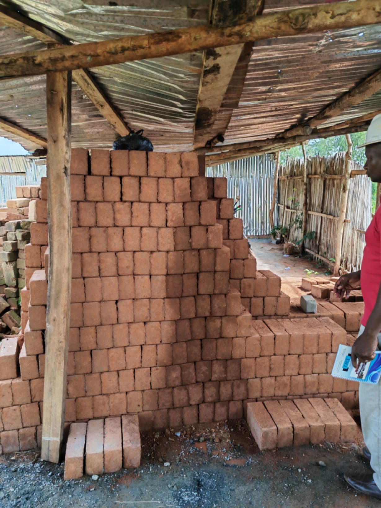 Togo field gallery image 7